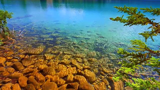 清澈的湖水，夏日，费尔蒙贾斯帕公园小屋