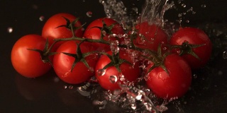 水浇在葡萄藤樱桃番茄上