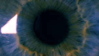 眼睛瞳孔脉动视频素材模板下载