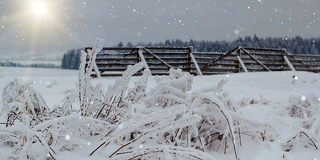 冬天的雪景有阳光和雪的屏障