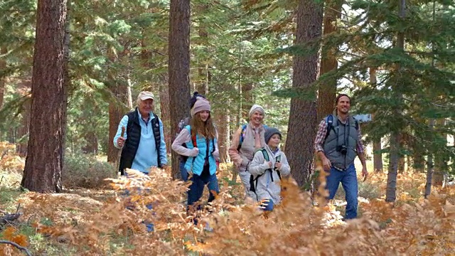 多代家庭在森林中行走的平移镜头