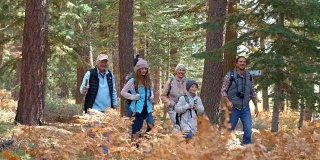 多代家庭在森林中行走的平移镜头
