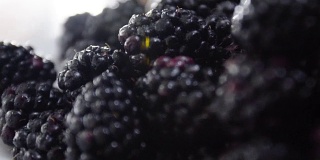 早餐桌上放着新鲜的黑莓。