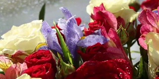 美丽的玫瑰花束，蝴蝶花和紫花快速旋转