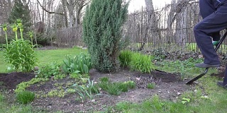 春天，园丁在花园的院子里为开花准备土壤。