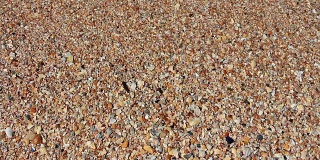 泡沫状的海浪在雪莉海滩上流动