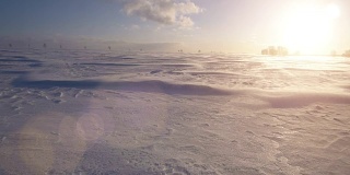 暴风雪，风和太阳。寒冷的北极。冰封雪飘