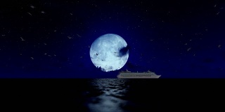 游船迎着满月航行，海鸥飞翔，声音包括在内