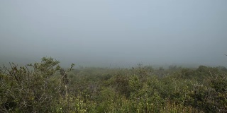 拉古纳山的云瀑布从夜晚到白天的延时拍摄，用锁定的索尼a7相机拍摄。