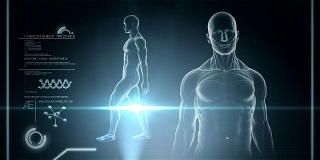 男性解剖-人类消化扫描-股票视频