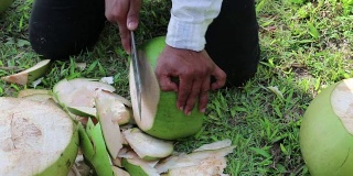 一个人剥一个绿色的大椰子