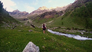 背包客在田园诗般的风景中徒步旅行。夏季冒险和探索在阿尔卑斯山，通过盛开的草地和绿色林地设置在高海拔山脉。瓦莱达奥斯塔,意大利。视频素材模板下载