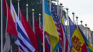 峰会参与者、战略伙伴、外交关系的国旗视频素材模板下载