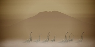 恐龙群行走在沙漠中的沙尘暴中
