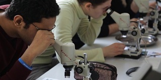 对大学学生进行光学显微镜使用的实践训练