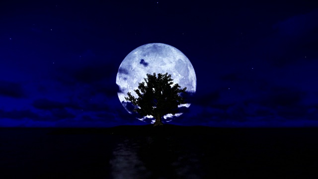孤岛上的一棵孤树，有大海，月圆
