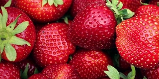 新鲜的红草莓。特写慢镜头