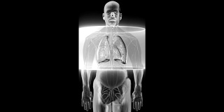 身体扫描。旋转人体肺，肺部诊断，蓝色x光。