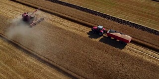 日落和工作收割联合收割机和拖拉机在麦田里。农业的概念,视频