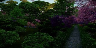 日本园林的春天，阳光在树间照耀，夕阳，倾斜