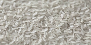 旋转干燥的生米。旋转的特写镜头的种子