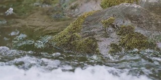 日本奥多摩，多摩河的水流，用慢镜头拍摄
