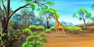 非洲的长颈鹿