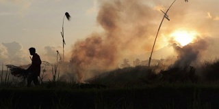 日落时分，乌布巴厘农民焚烧秸秆的剪影