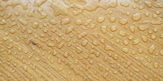 拼花。水滴落在木头表面。