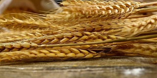 金色的麦秆落在古老的木制背景上，慢镜头