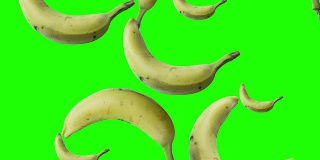 香蕉落绿屏