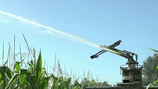 用农业喷灌机浇灌玉米田视频素材模板下载