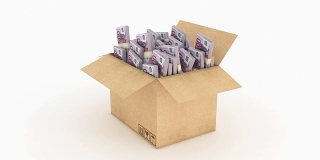 纸板箱与欧元。三维渲染