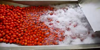 番茄酱生产自动线