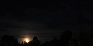 月亮在云树之上的地平线上升起。时间流逝