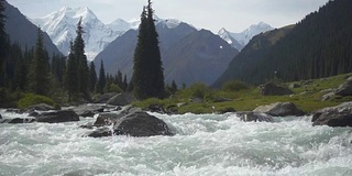 景观与山，冷杉树和河流。天山,吉尔吉斯斯坦。慢动作