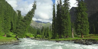景观与山，冷杉树和河流。天山、吉尔吉斯斯坦