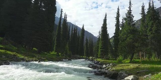 景观与山，冷杉树和河流。天山、吉尔吉斯斯坦