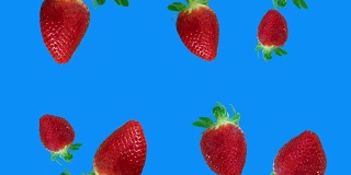 草莓落幕蓝屏