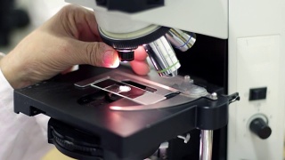 显微镜视频素材模板下载