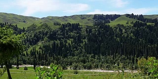 高山草甸、高山、伊犁河谷