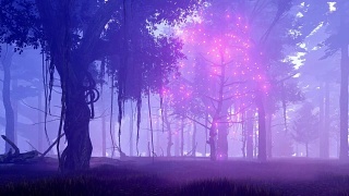 在朦胧的夜森林中，幻想树有着神奇的灯光视频素材模板下载