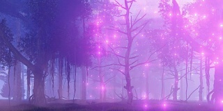 神奇的迷雾夜森林里的仙女灯