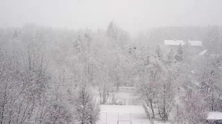 公园里大雪纷飞，树木被雪覆盖。孤独、寂寞、忧伤视频素材模板下载