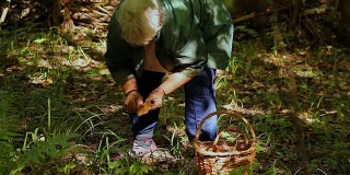 一位老妇人在森林里采蘑菇