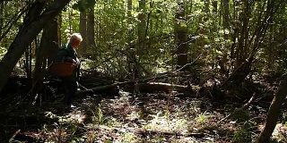 一位上了年纪的妇女穿过树林寻找蘑菇