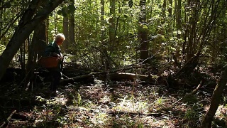 一位上了年纪的妇女穿过树林寻找蘑菇视频素材模板下载