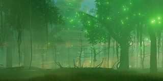 诡异的夜森林里的神秘之光