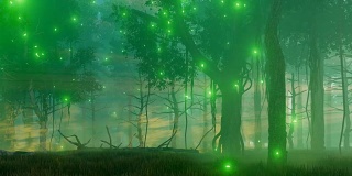 迷雾之夜的魔法森林