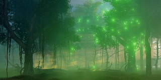 迷雾夜森林中的魔法灯
